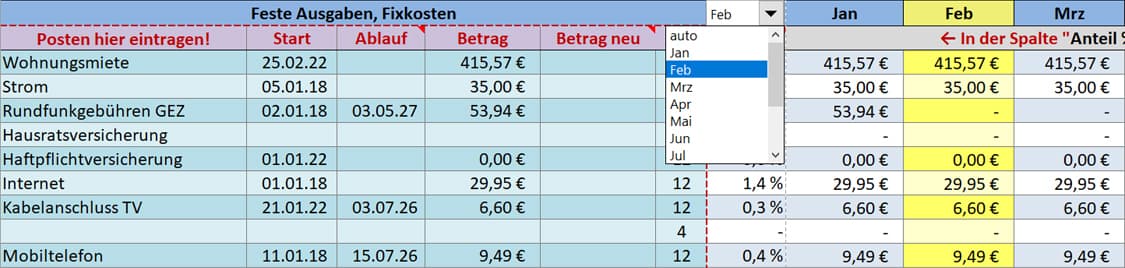 Monatsauswahl und prozentuale Auswertung im Excel-Haushaltsbuch